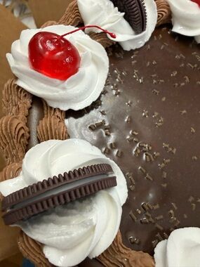 Amazing unique Novelty Chocolate Cake Handbag with Red Cherry Accents